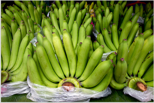 Raw Banana